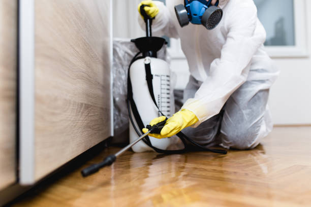 Best Mosquito Control Services  in St Stephens, NC