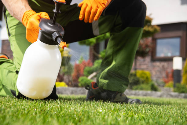 Wasp Removal Services in St Stephens, NC