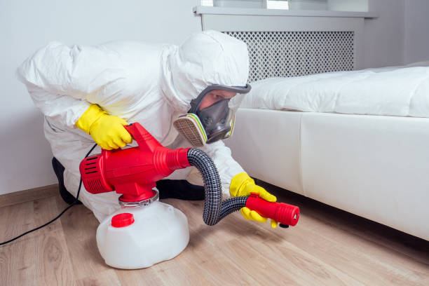 Best Pest Control Near Me  in St Stephens, NC
