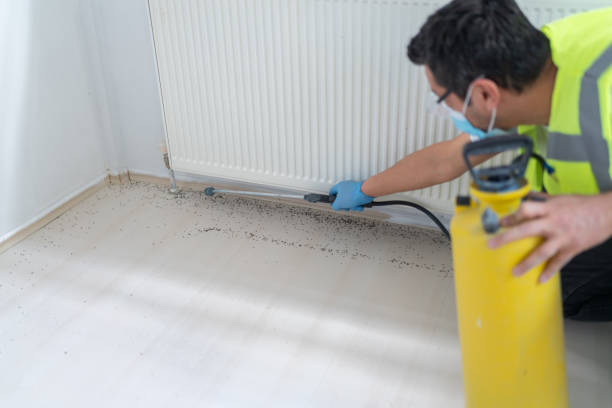 Best Best Pest Control Companies  in St Stephens, NC