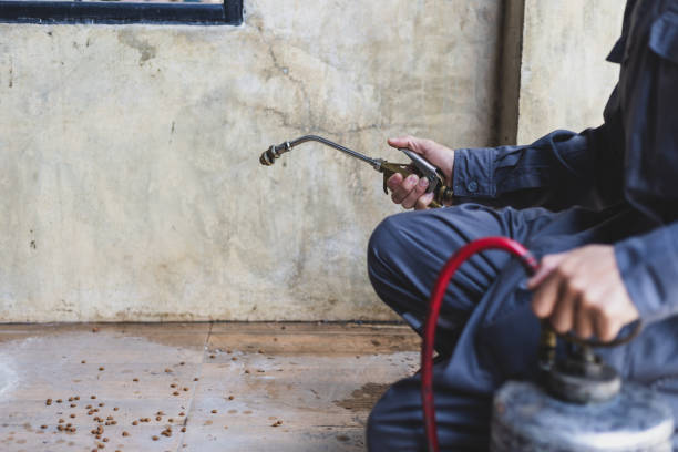 Best Termite Control Services  in St Stephens, NC