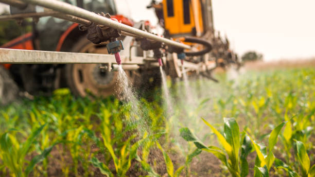 Best Commercial Pest Control Services  in St Stephens, NC